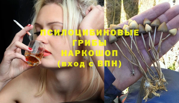 герыч Алексин