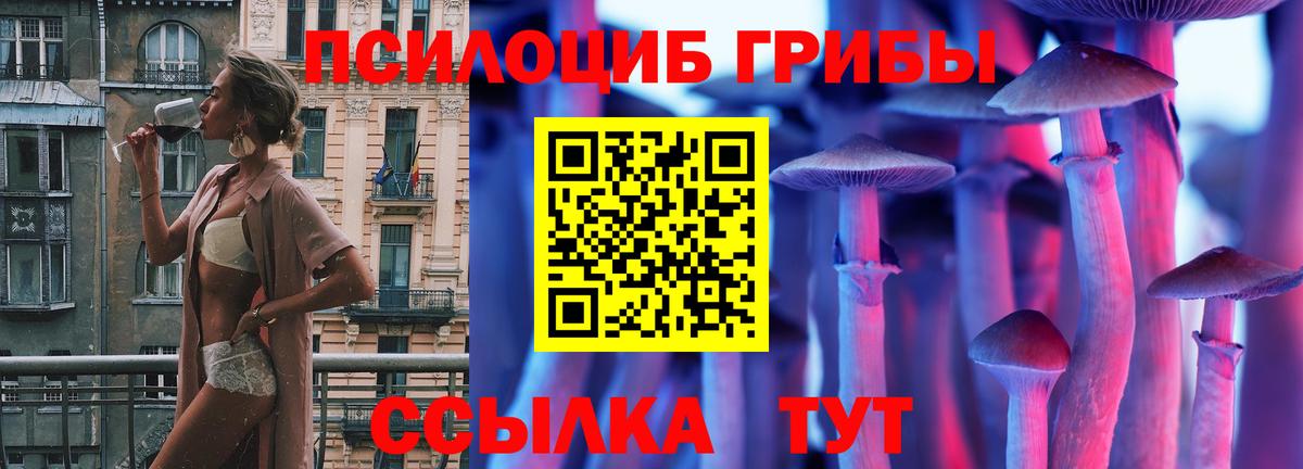 Галлюциногенные грибы GOLDEN TEACHER  где найти   Вход с VPN  Бердск  Псилоцибиновые грибы прущие грибы 